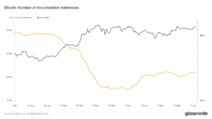 Bitcoin accumulation addresses surge as market optimism returns