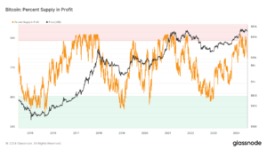 Bitcoin: Percent Supply In Profit: (Source: Glassnode)