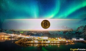 Big News for Bitcoin Adoption? Norwegian Government Increases Sovereign Fund's BTC Exposure