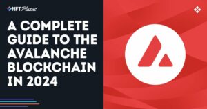 avalanche blockchain guide 2024 social