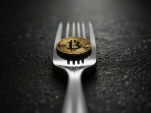 leonardo lightning xl a bitcoin fork 3 1