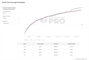 bitcoin dca strategy tool